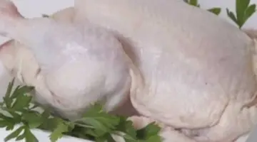 سعر الفراخ البيضاء اليوم الجمعة 27-3-2026 في المنوفية